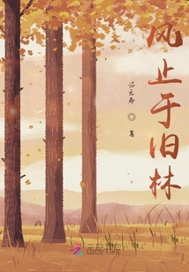 風止于舊林