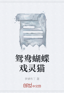 鴛鴦蝴蝶戲靈貓