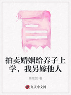 拍卖婚姻给养子上学,我另嫁他人在线阅读
