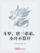 斗罗,唐三弟弟,小开不算开在线阅读
