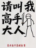 请叫我高手大人在线阅读