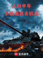 人到中年，系统逼我去抗战在线阅读