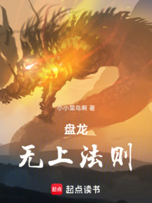 盘龙：无上法则在线阅读