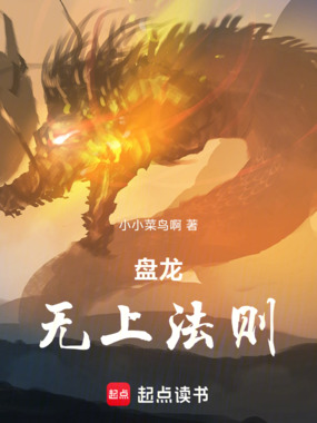 盘龙：无上法则在线阅读