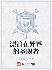 漂泊在异界的圣职者