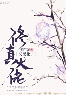 修真大佬又黑化了