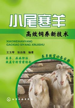 小尾寒羊高效饲养新技术 封面