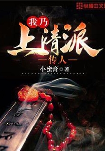 我乃上清派傳人