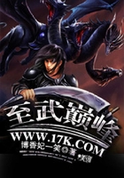 至武巅峰在线阅读