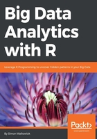 Big Data Analytics with R在线阅读