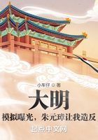 大明：模拟曝光，朱元璋让我造反