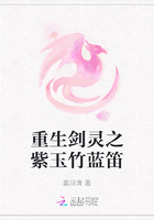 重生剑灵之紫玉竹蓝笛