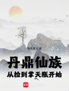 丹鼎仙族，从捡到掌天瓶开始在线阅读