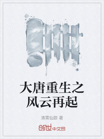 大唐重生之風(fēng)云再起