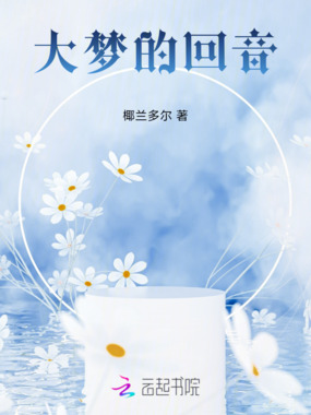 大梦的回音在线阅读