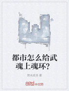 都市怎么给武魂上魂环？在线阅读