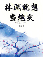 林渊就想当炮灰在线阅读