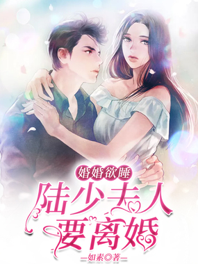 婚婚欲睡:陆少夫人要离婚在线阅读
