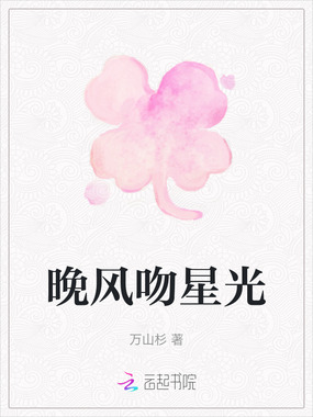 晚风吻星光在线阅读