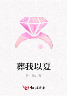 葬我以夏