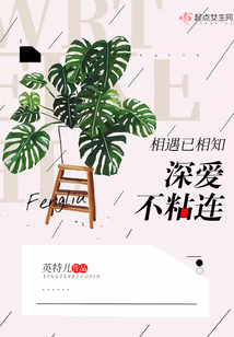 相遇已深爱