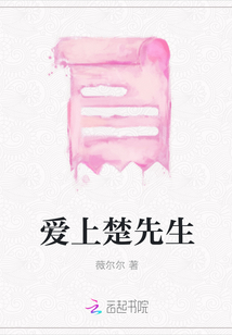 愛上楚先生