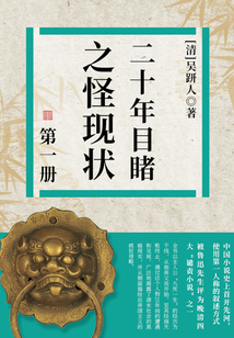 二十年目睹之怪現(xiàn)狀·一