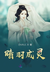 暗羽成灵