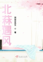 北菻遇风