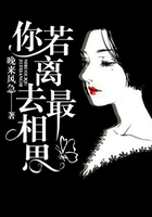 你若離去最相思在線閱讀