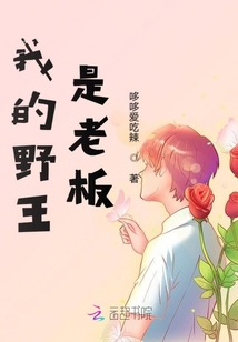 我的野王是老板