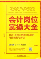 会计岗位实操大全（会计+出纳+纳税+电算化+财报编制与解读）在线阅读