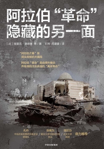 阿拉伯“革命”隐藏的另一面