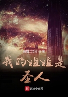 我的姐姐是圣人在线阅读
