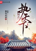 知否:执天下