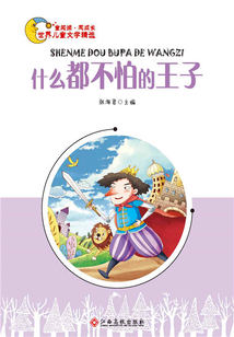 什么都不怕的王子