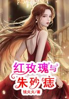 紅玫瑰與朱砂痣在線閱讀