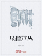 星指芦丛在线阅读
