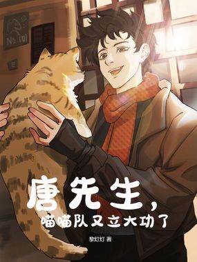 唐先生，喵喵队又立大功了在线阅读