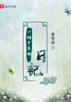一个少年的日记