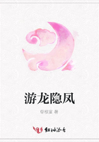 游龍隱鳳在線閱讀