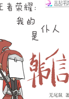王者荣耀:我的仆人是韩信