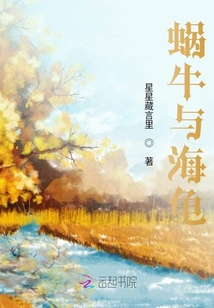 蝸牛與海龜