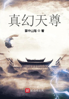 真幻天尊在线阅读