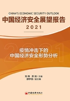 中国经济安全展望报告（2021）在线阅读