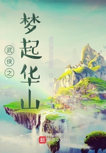 武俠之夢起華山