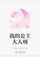 我的公主大人呀在线阅读