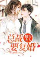 报告夫人,总裁要复婚!