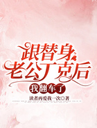 跟替身老公丁克后我翻車了在線閱讀