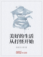 美好的生活从打怪开始在线阅读